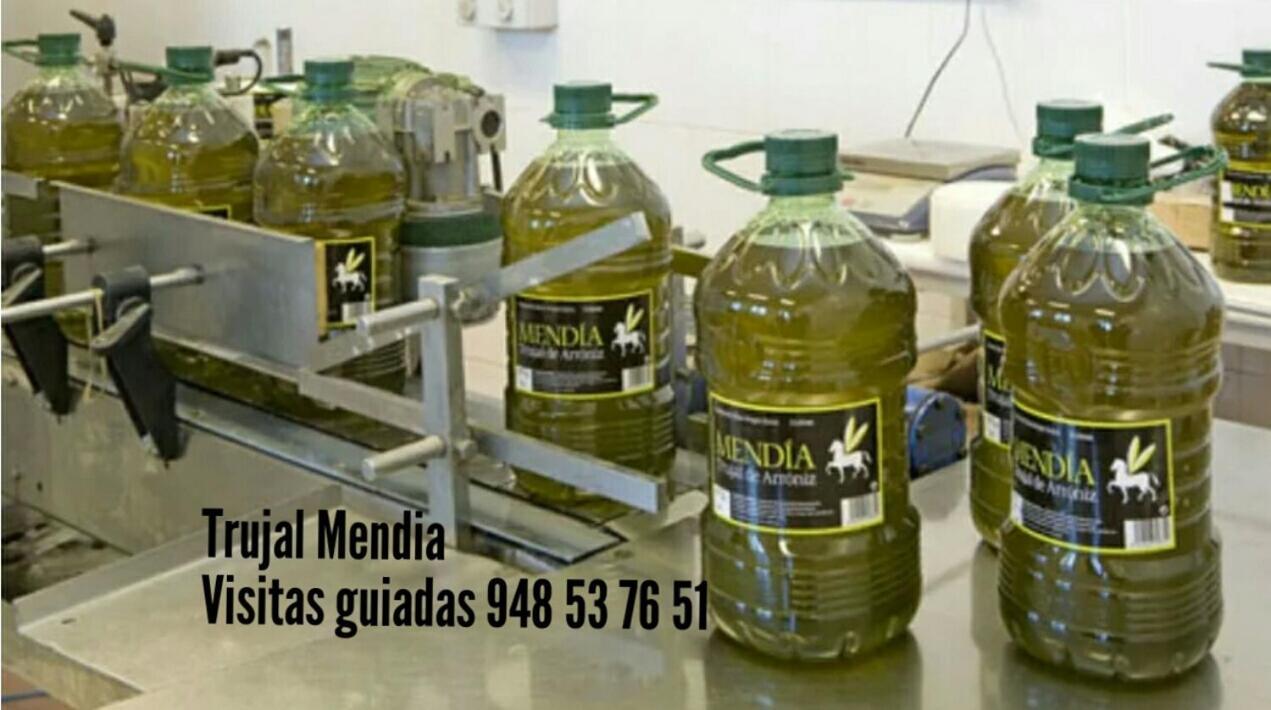 הוילה Arroniz Greta Etxea מראה חיצוני תמונה